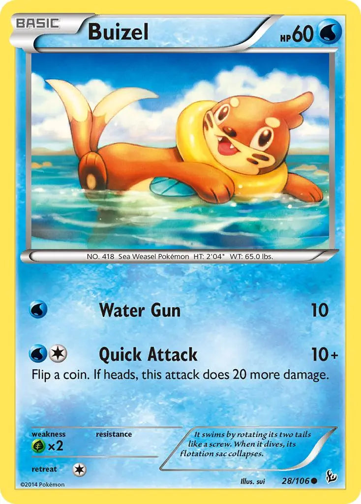 Buizel (28/106) [XY: Flashfire] Pokémon