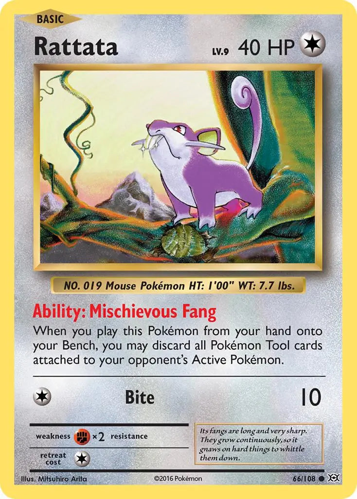 Rattata (66/108) [XY: Evolutions] Pokémon