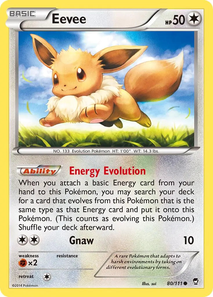 Eevee (80/111) [XY: Furious Fists] Pokémon