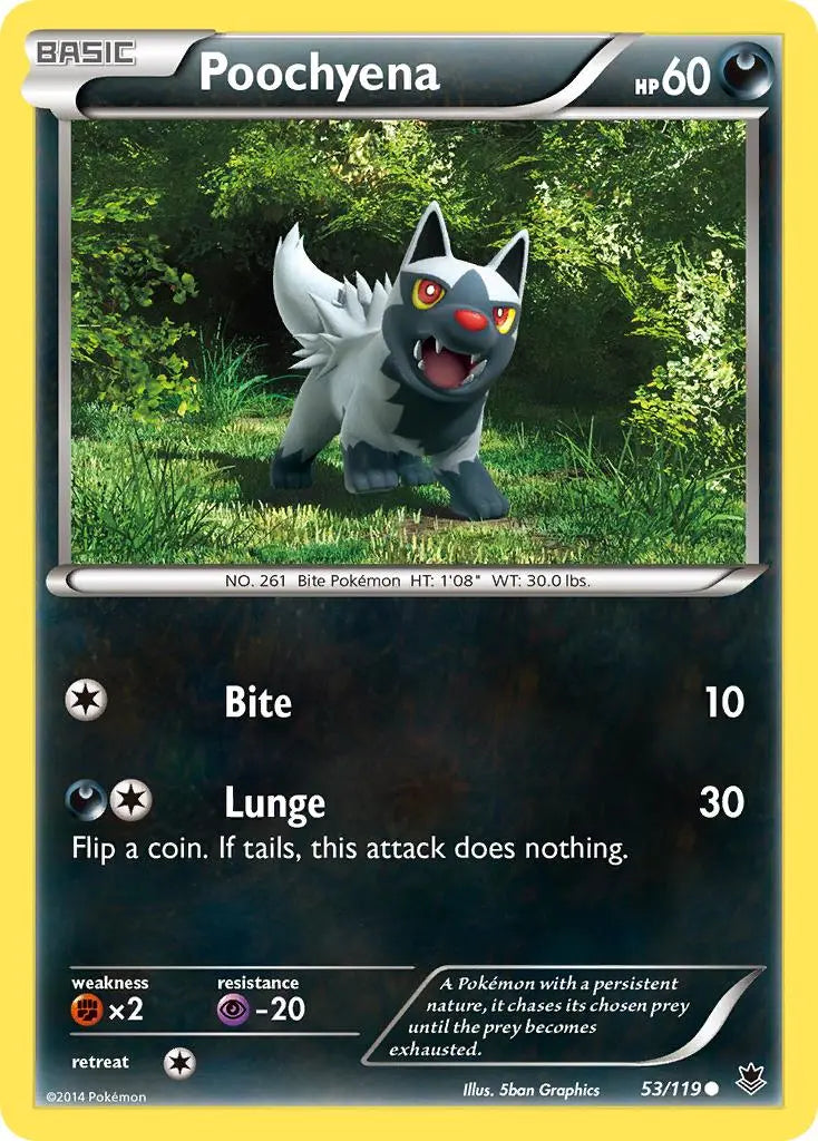 Poochyena (53/119) [XY: Phantom Forces] Pokémon