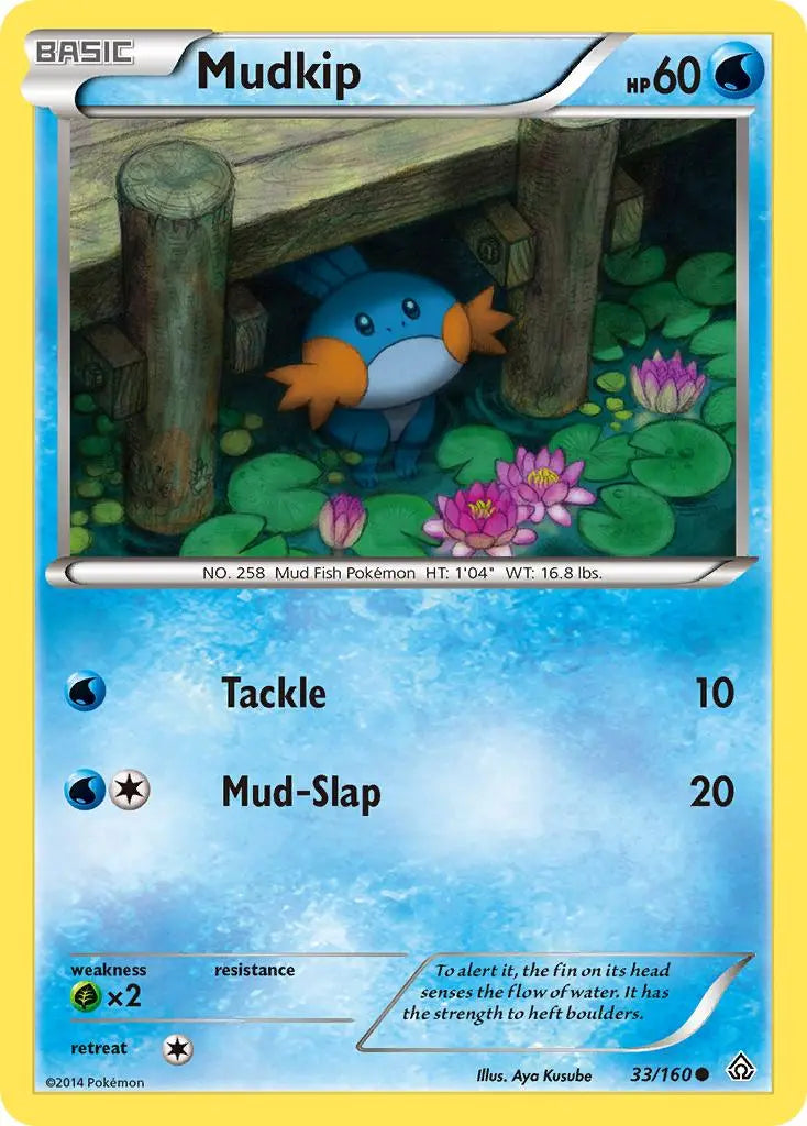Mudkip (33/160) [XY: Primal Clash] Pokémon