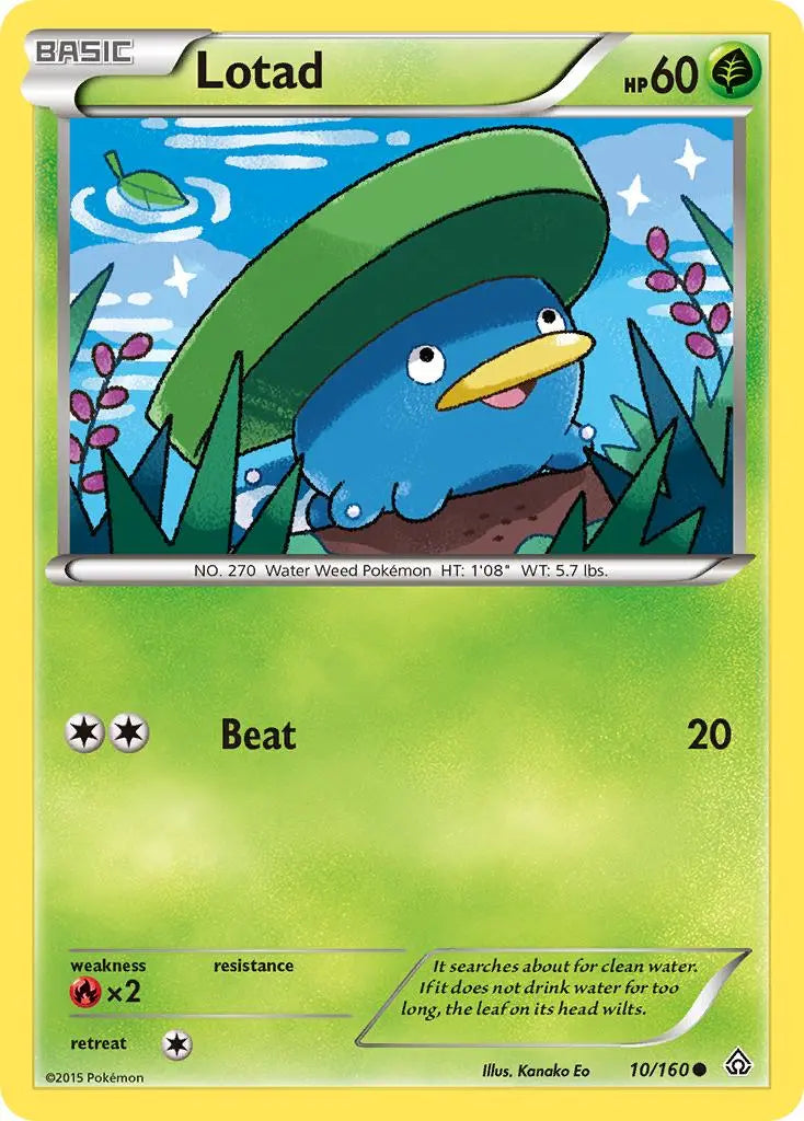 Lotad (10/160) [XY: Primal Clash] Pokémon