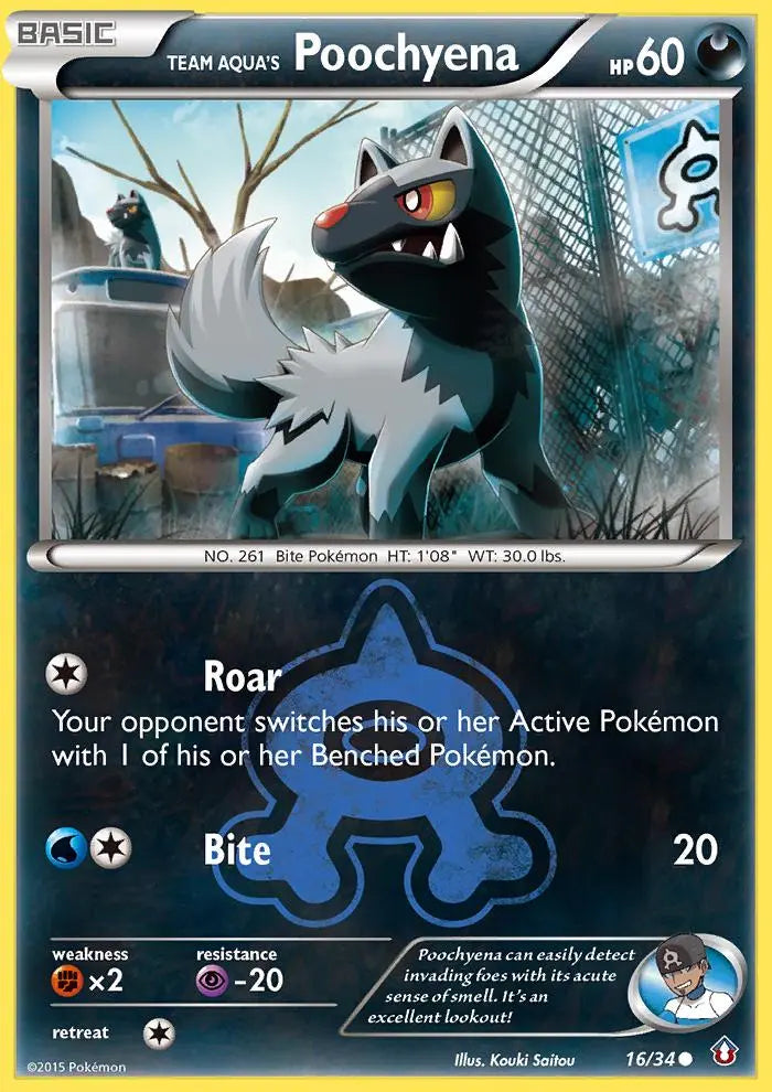 Team Aqua's Poochyena (16/34) [XY: Double Crisis] Pokémon