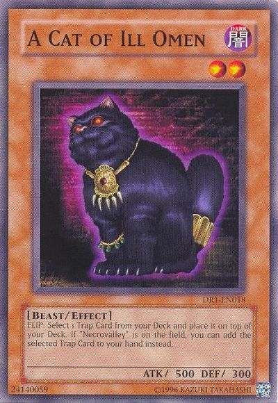 A Cat of Ill Omen [DR1-EN018] Common Yu-Gi-Oh!
