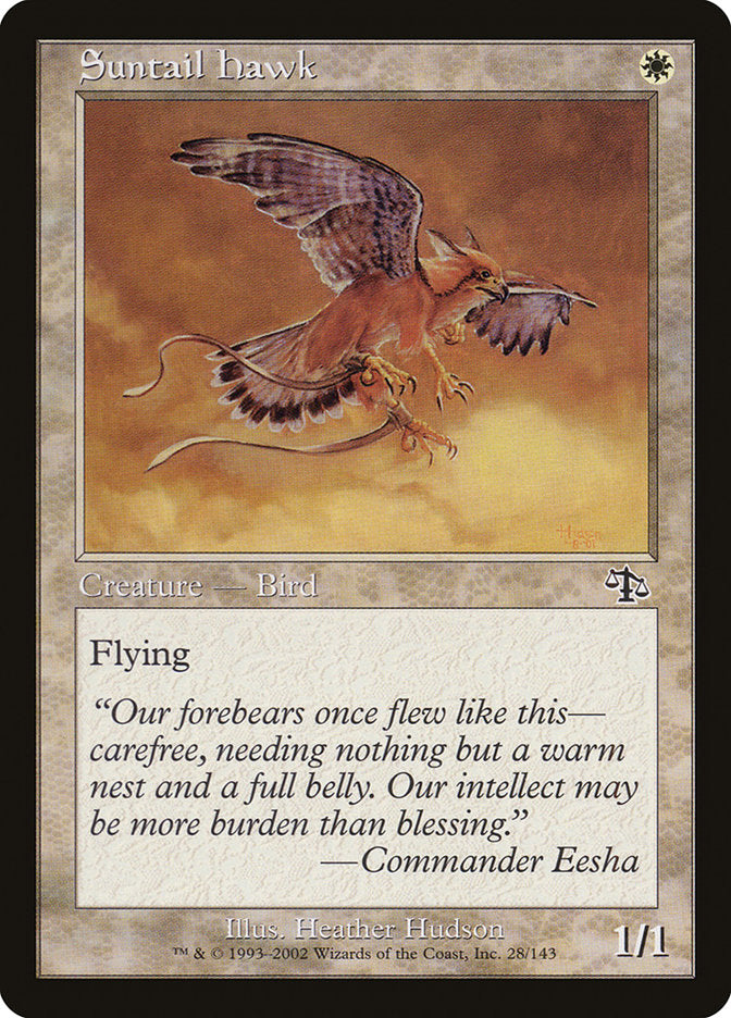 Suntail Hawk [Judgment] Magic: The Gathering