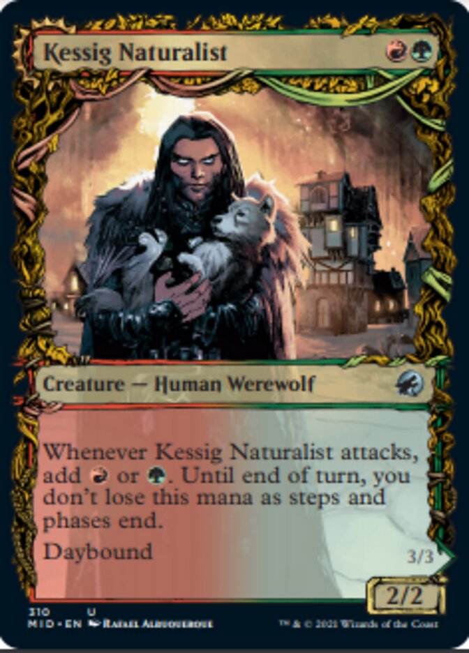 Kessig Naturalist // Lord of the Ulvenwald (Showcase Equinox) [Innistrad: Midnight Hunt] Magic: The Gathering