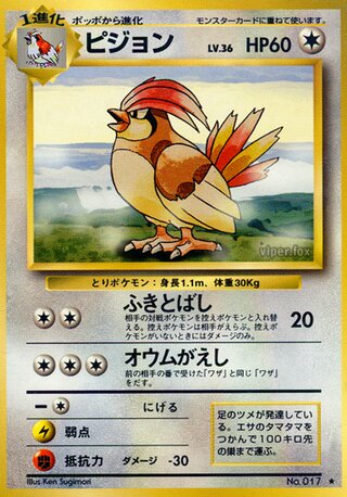 Pidgeotto (66/102) [Expansion Pack] Pokémon