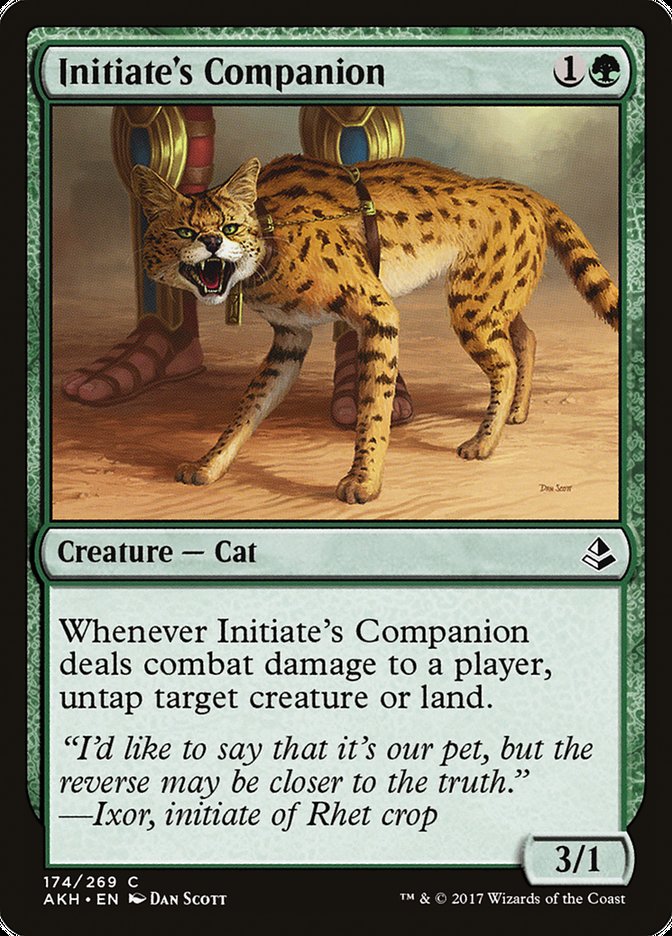 Initiate's Companion [Amonkhet] Magic: The Gathering