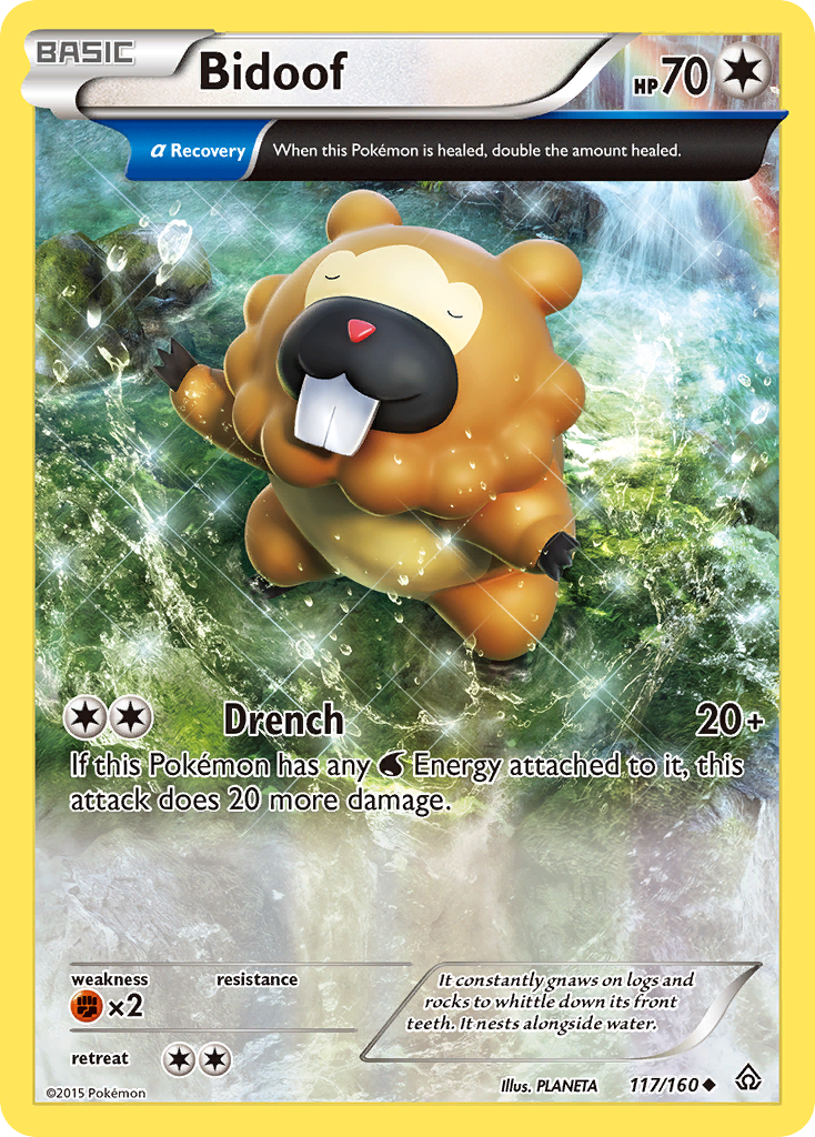 Bidoof (117/160) [XY: Primal Clash] Pokémon