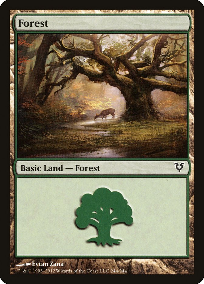 Forest (244) [Avacyn Restored] Magic: The Gathering