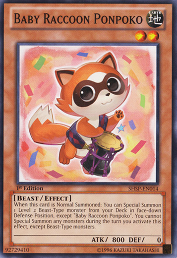 Baby Raccoon Ponpoko [SHSP-EN014] Common Yu-Gi-Oh!